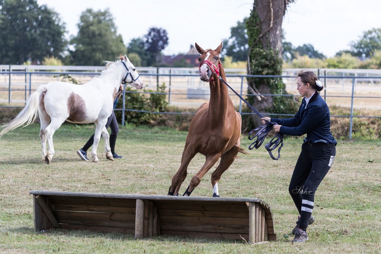 Bild 27 - Pony Akademie Turnier